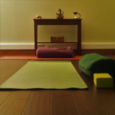 Santosa Studio Edinburgh 2