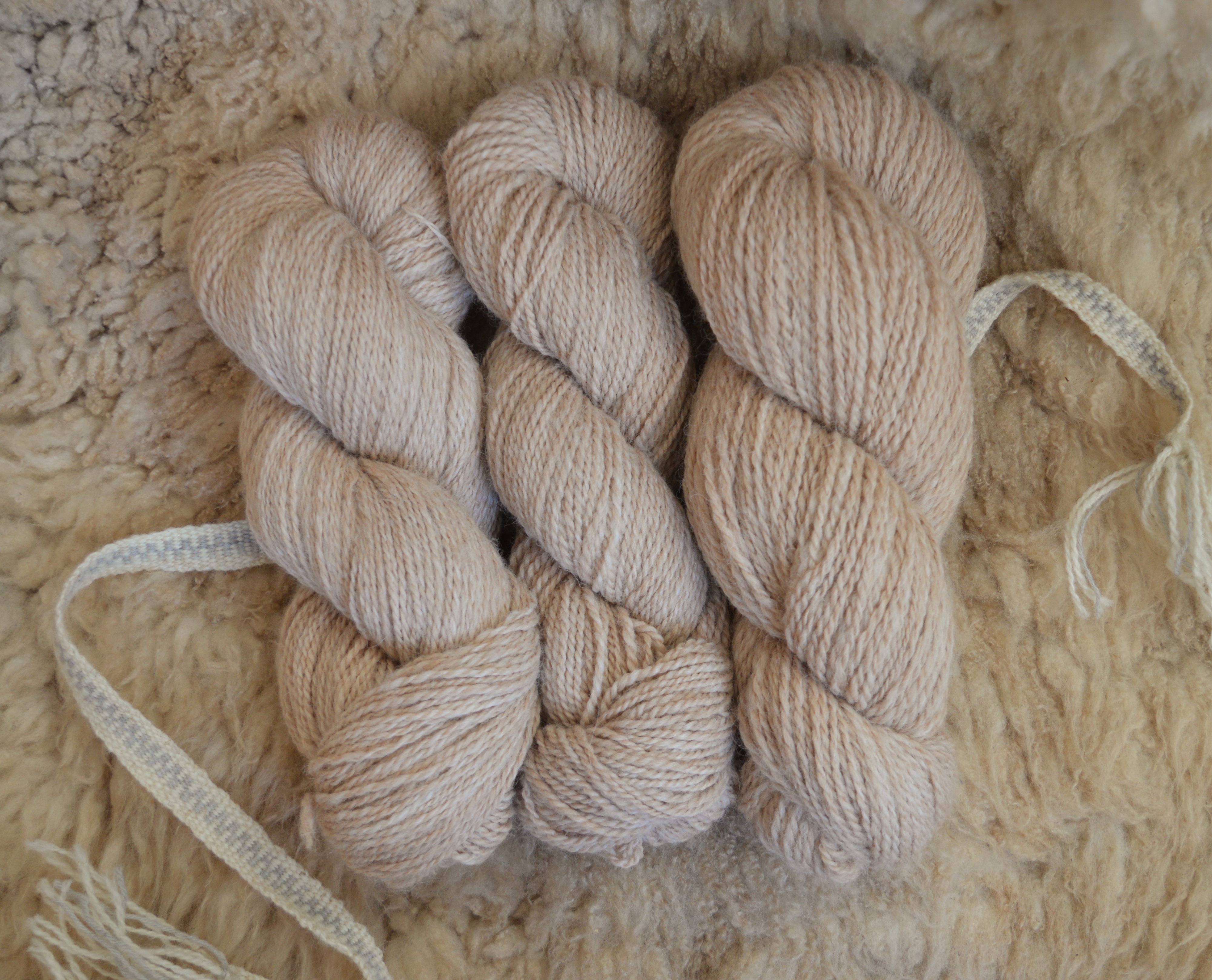 Winter Wool Spinning Immersion Course